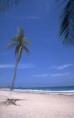 /album/fotogaleria-fotogaleria/a009-jpg1/