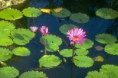 /album/fotogaleria-fotogaleria/a006-jpg1/