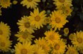 /album/fotogaleria-fotogaleria/a001-jpg1/